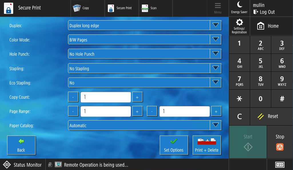 screenshot of printing options