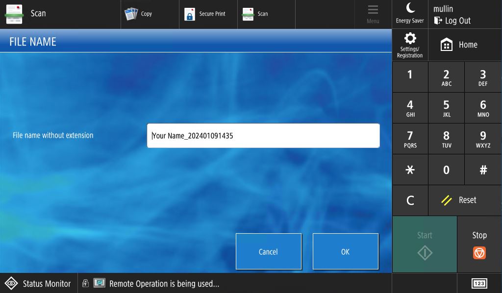 Example File Naming Screen