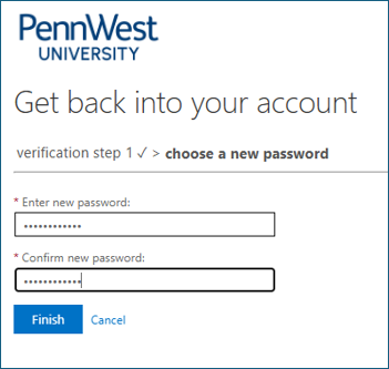 screenshot of new password and confirmation fileds