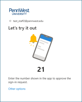 Screensht of code sent to mobile device