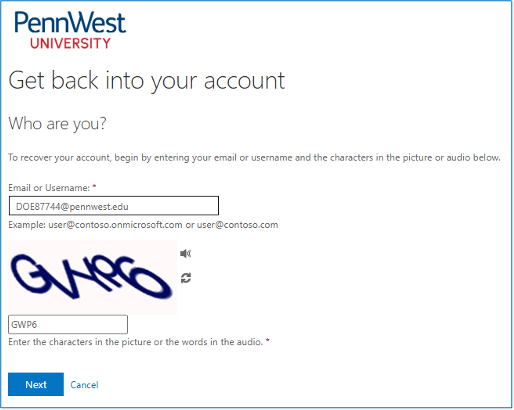 screenshot of microsoft reset password prompt