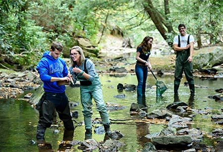 Students studying wildlife by a stream