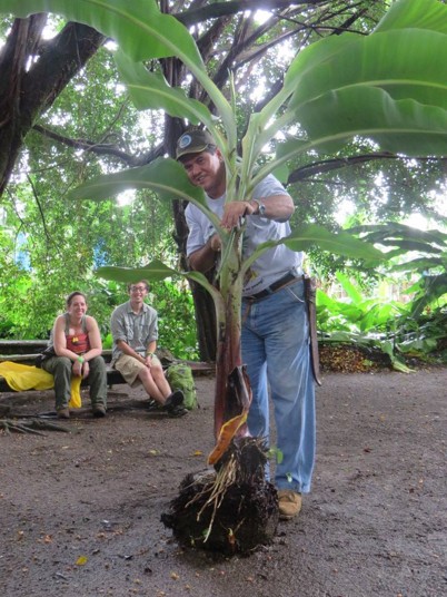 Students participate in presentation at banana plantation