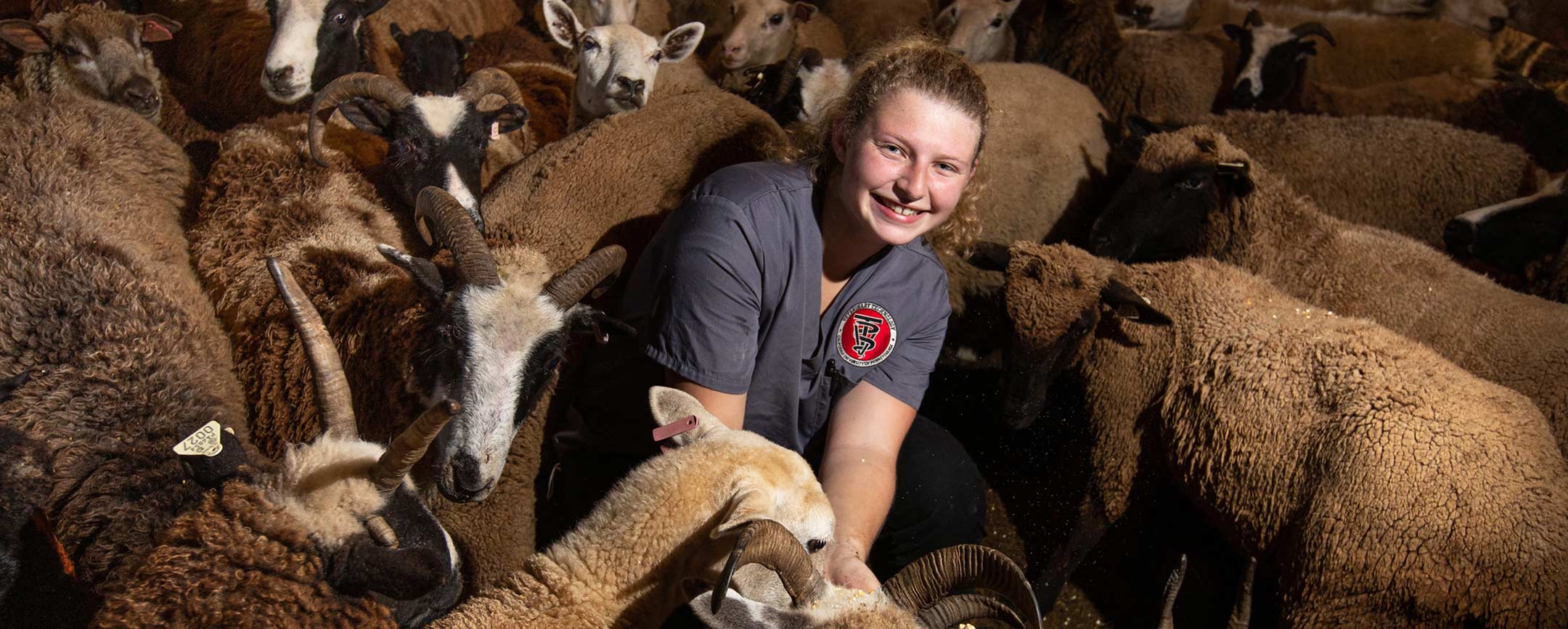 A student sitting with a herd of animals
