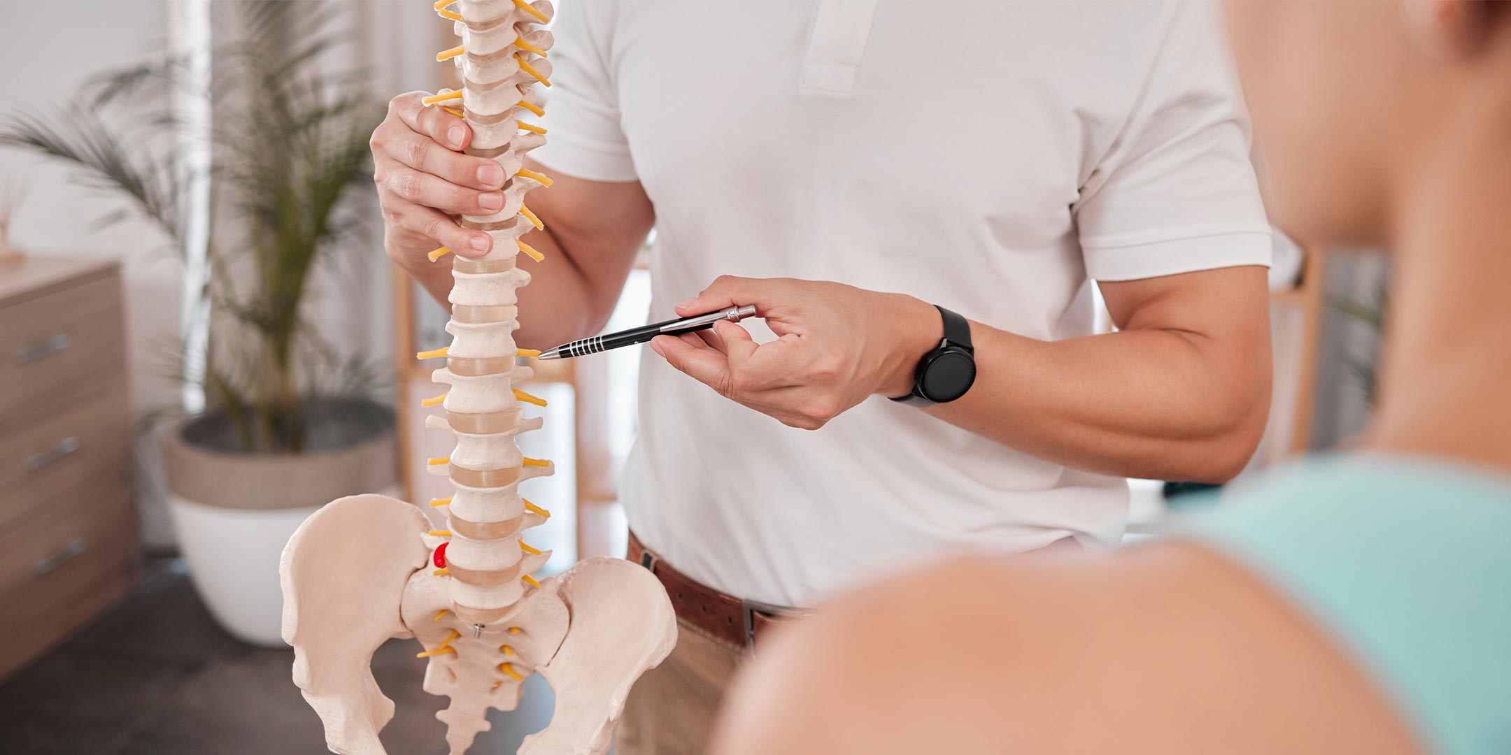 a chiropractor explaining the spinal vertebrae to a patient