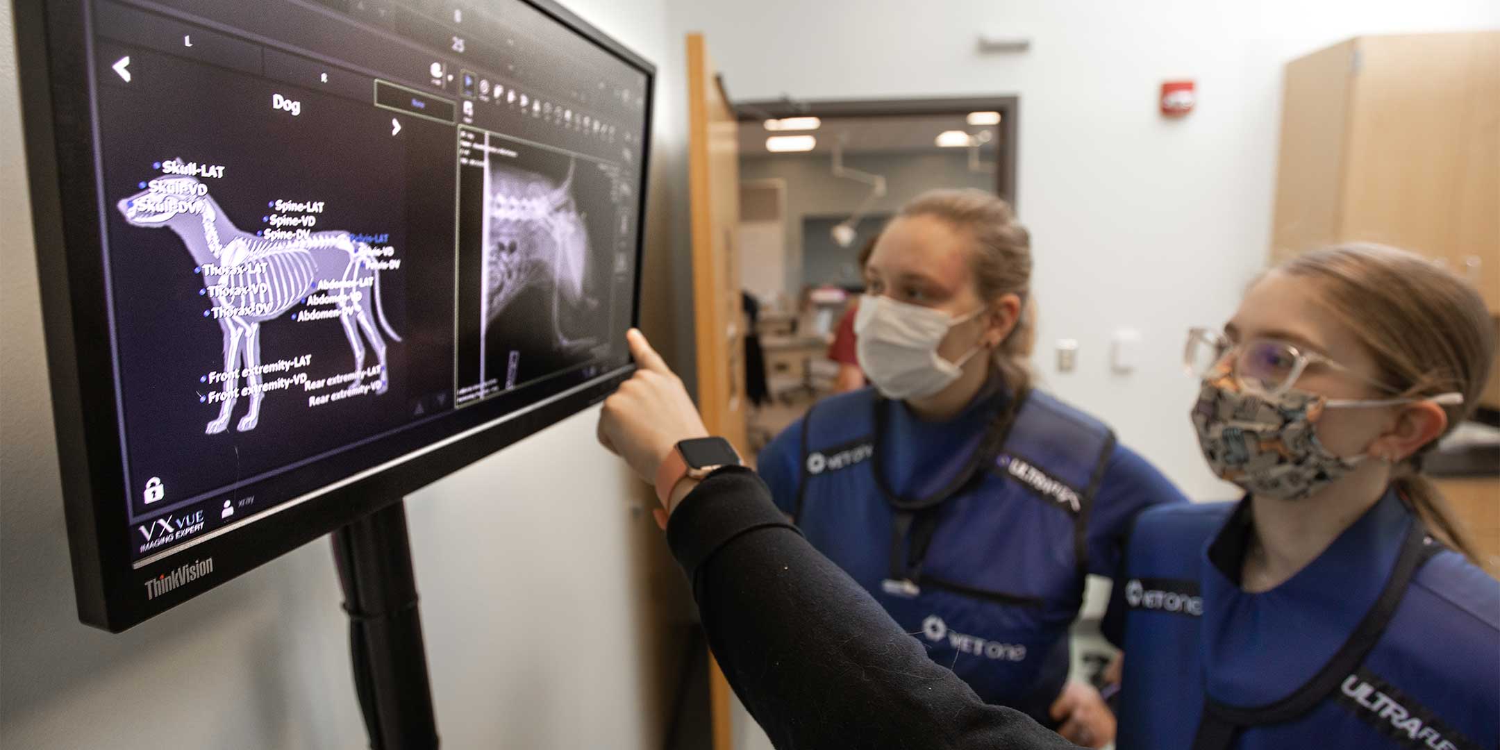 two pre-veterinary medicine students reviewing the anatomy of a dog