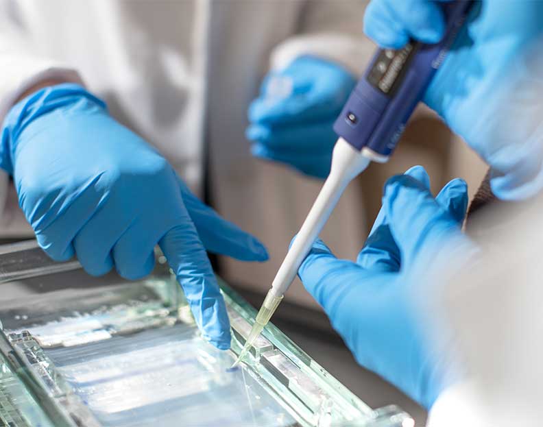 molecular biotechnology skills students adding a sample to a examiniation slide