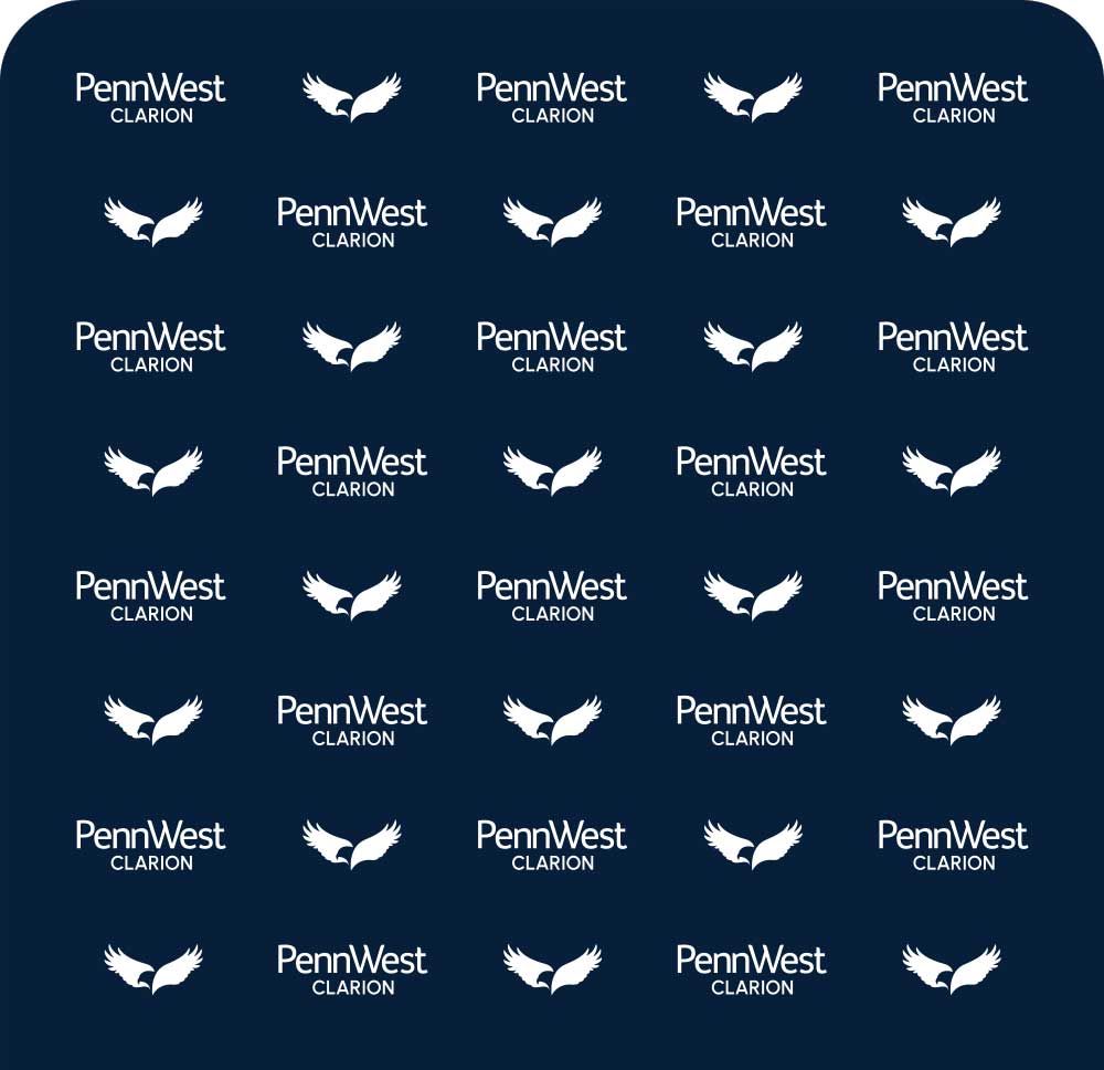 Backdrop of Clarion Logos