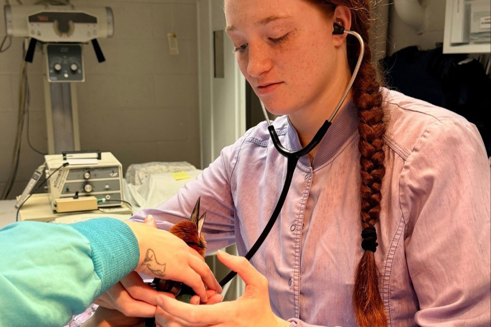 Ryann Shirey holds a Guam kingfisher during her internship at the National Aviary.
