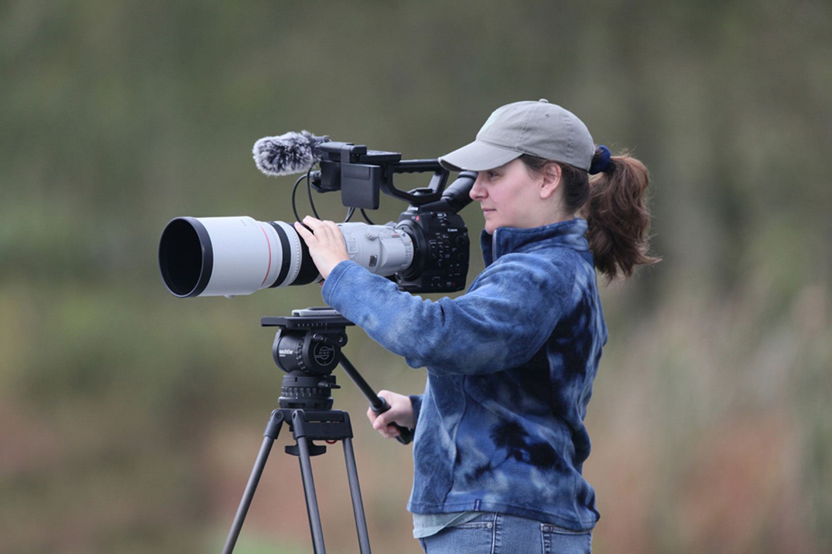 Tracy Graziano will soon debut her latest documentary film on the piping plover